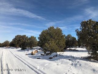 1879 Pronghorn Road Show Low, AZ 85901 - Photo 10 of 17 Gallery Image 10