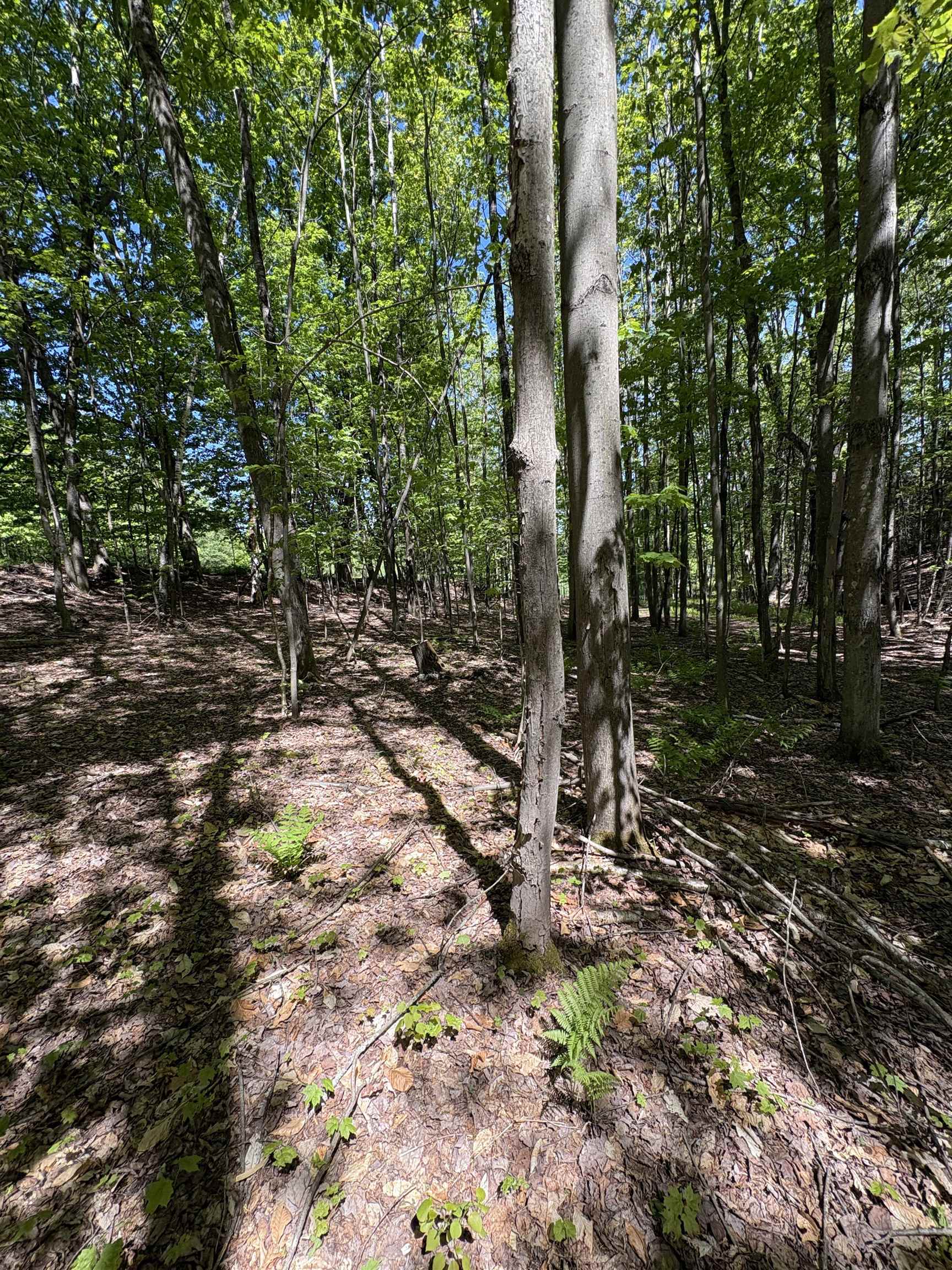 396 Rand Road Randolph, VT 05061 - Photo 26 of 28