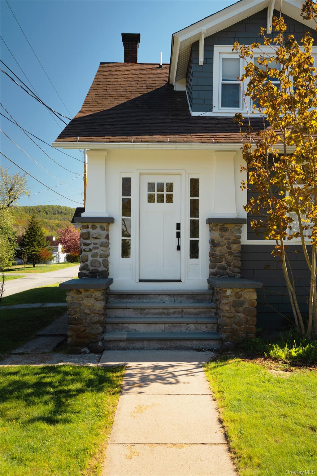 10 Fred Hessinger Road Callicoon Center, NY 12724 - Photo 28 of 28 a view of a house with a yard