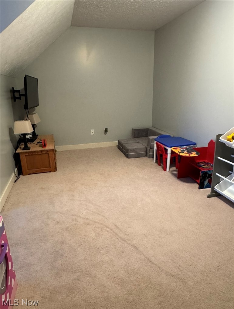 12626 Seville Road Sterling, OH 44276 - Photo 15 of 15 Playroom featuring a textured ceiling, vaulted ceiling, and light carpet