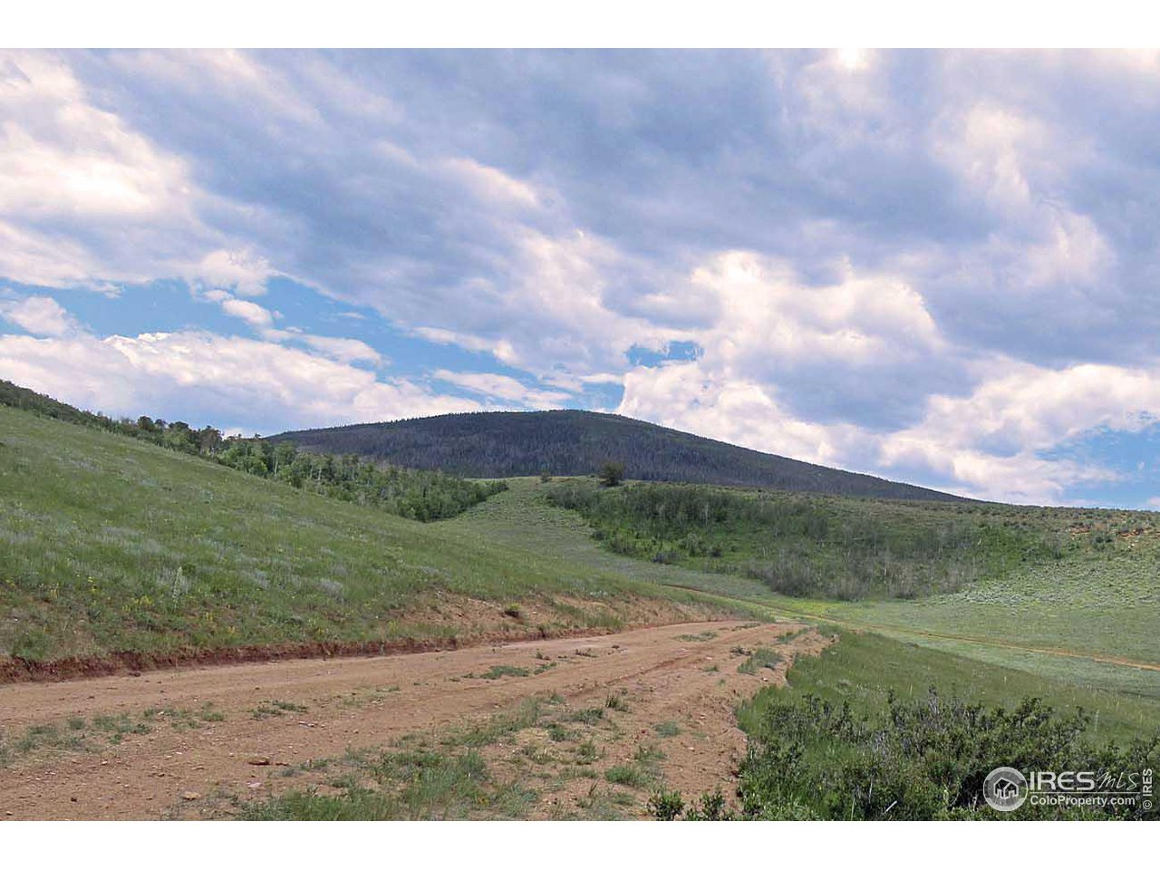 Plano Road Red Feather Lakes, CO 80545 - Photo 1 of 9 Gallery Image 1