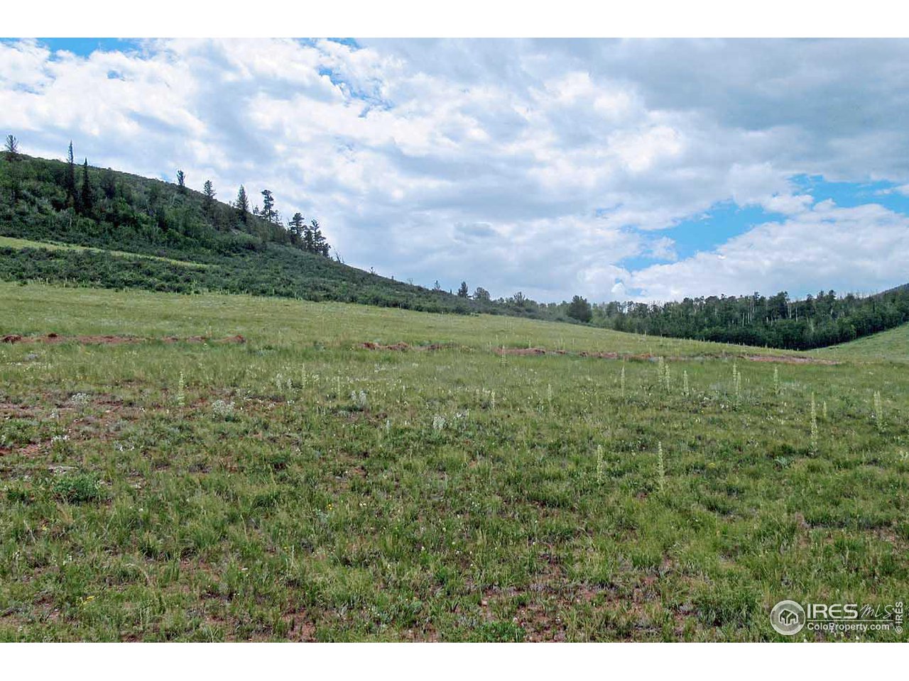 Plano Road Red Feather Lakes, CO 80545 - Photo 3 of 9 Gallery Image 3