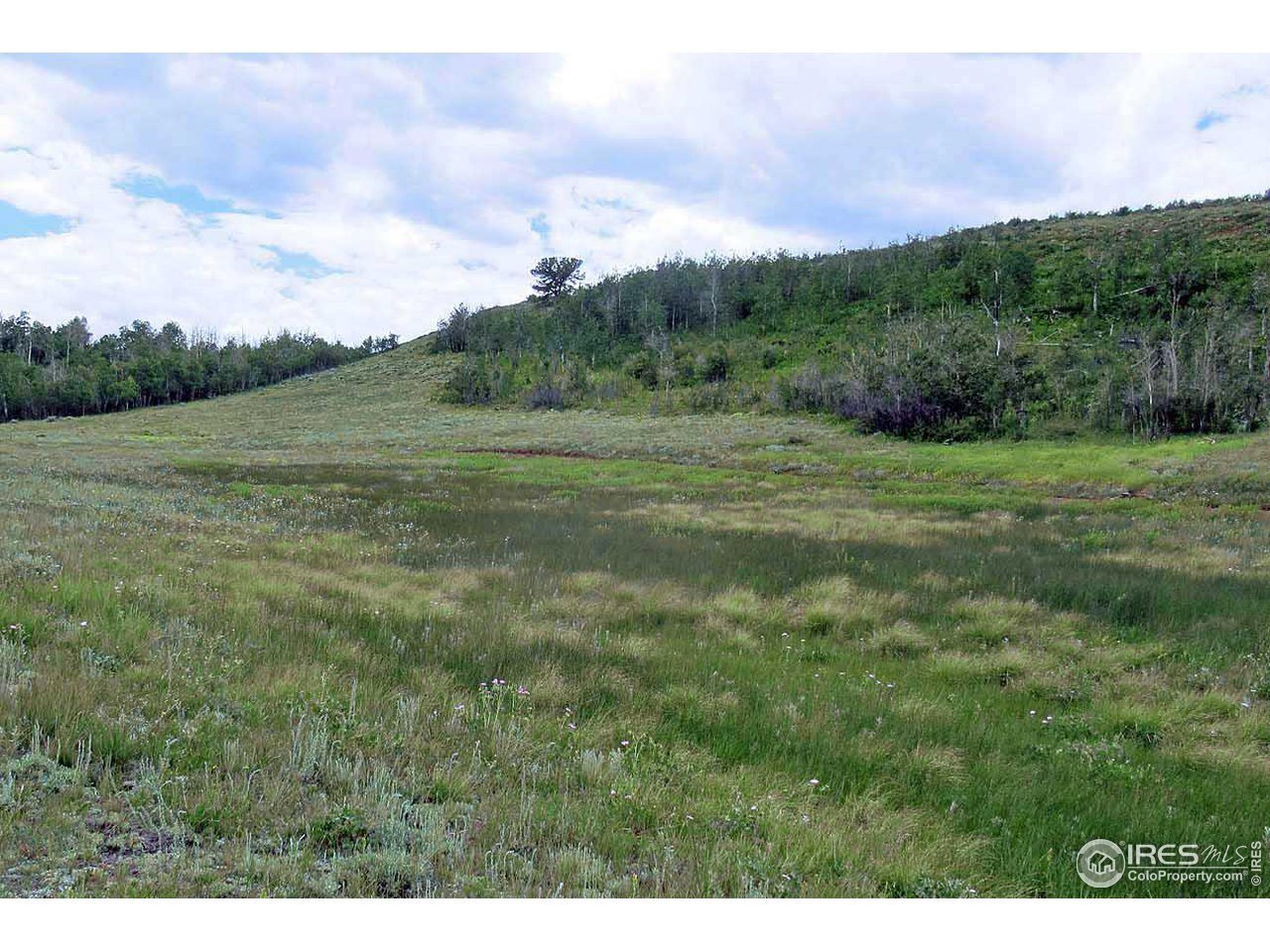 Plano Road Red Feather Lakes, CO 80545 - Photo 5 of 9 Gallery Image 5
