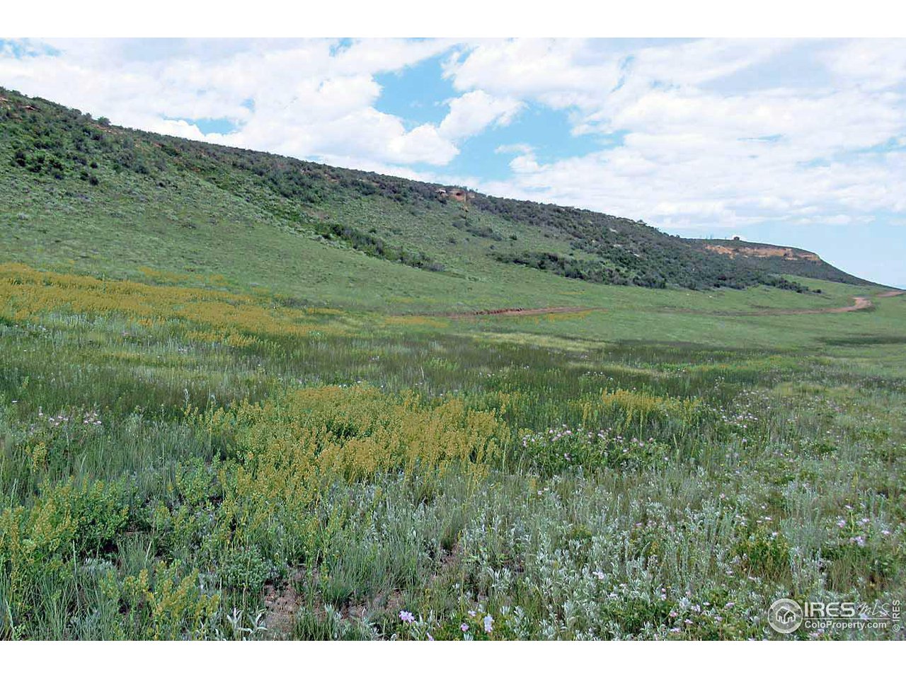 Plano Road Red Feather Lakes, CO 80545 - Photo 6 of 9 Gallery Image 6