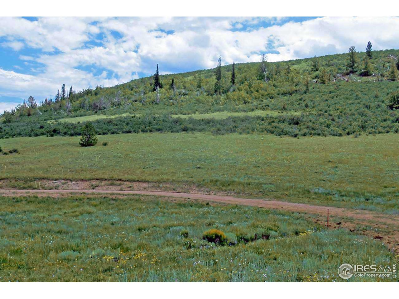 Plano Road Red Feather Lakes, CO 80545 - Photo 8 of 9 Gallery Image 8