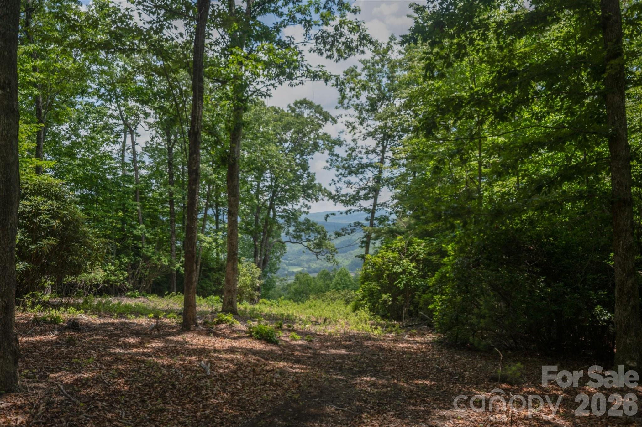 Tbd Reserve Road, Unit 16 Pisgah Forest, NC 28768 - Photo 3 of 18
