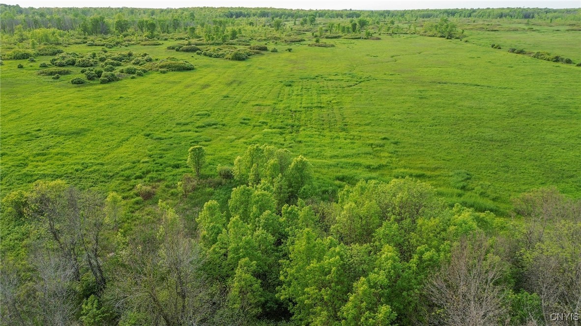 Rd-co Rt 28 Road Pulaski, NY 13142 - Photo 5 of 17