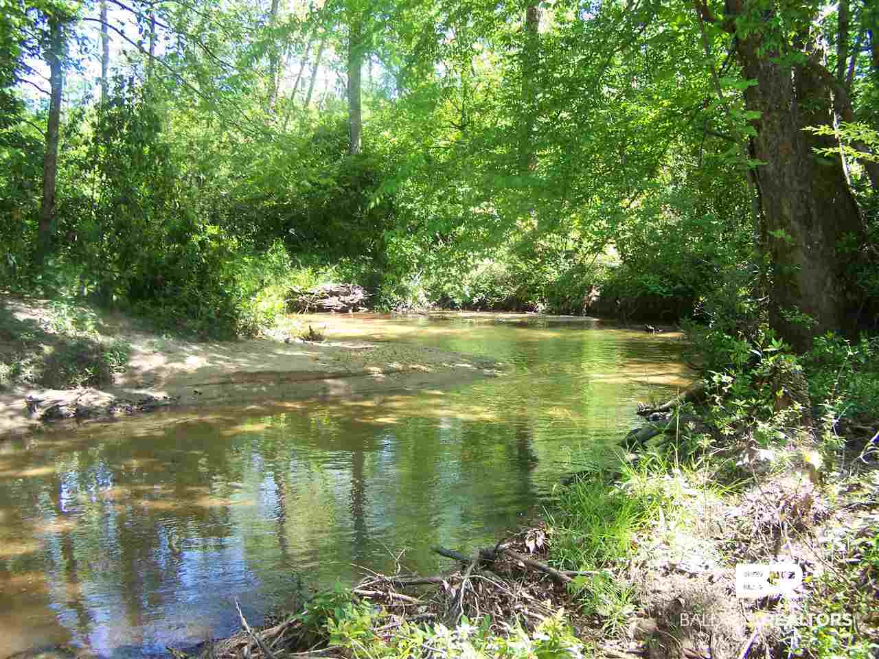 3000 Antioch Road Grove Hill, AL 36451 - Photo 1 of 42