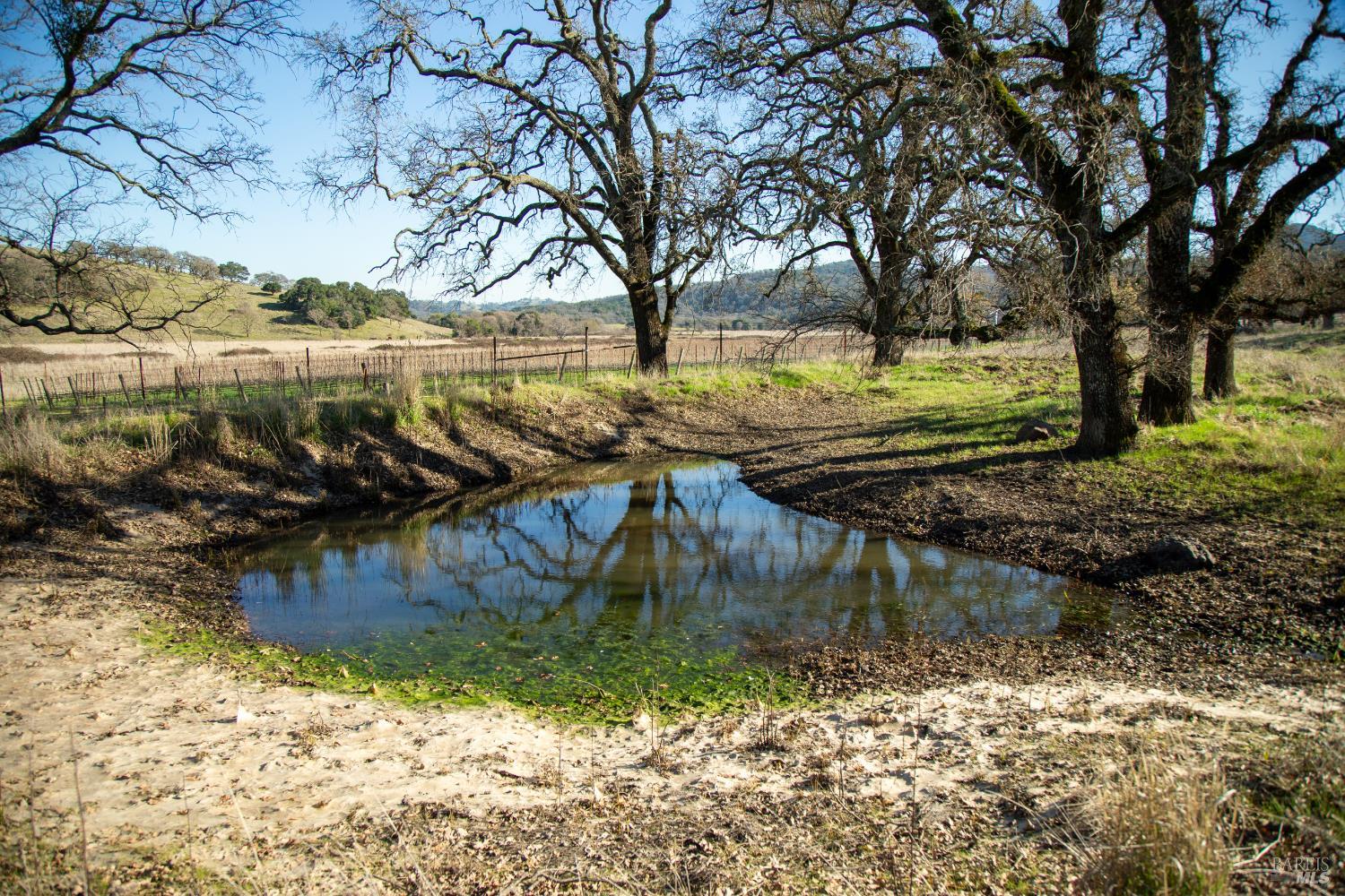 3576 Monticello Road Napa, CA 94558 - Photo 35 of 43