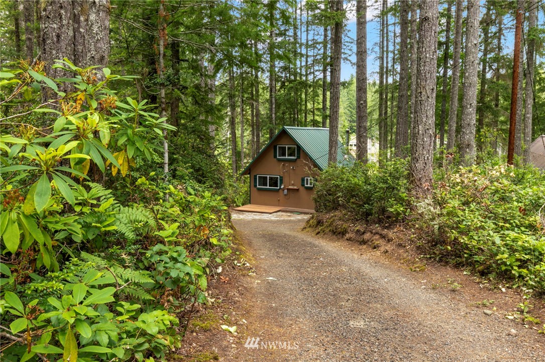260 Northeast Raintree Lane Tahuya, WA 98588 - Photo 24 of 35 Gallery Image 24