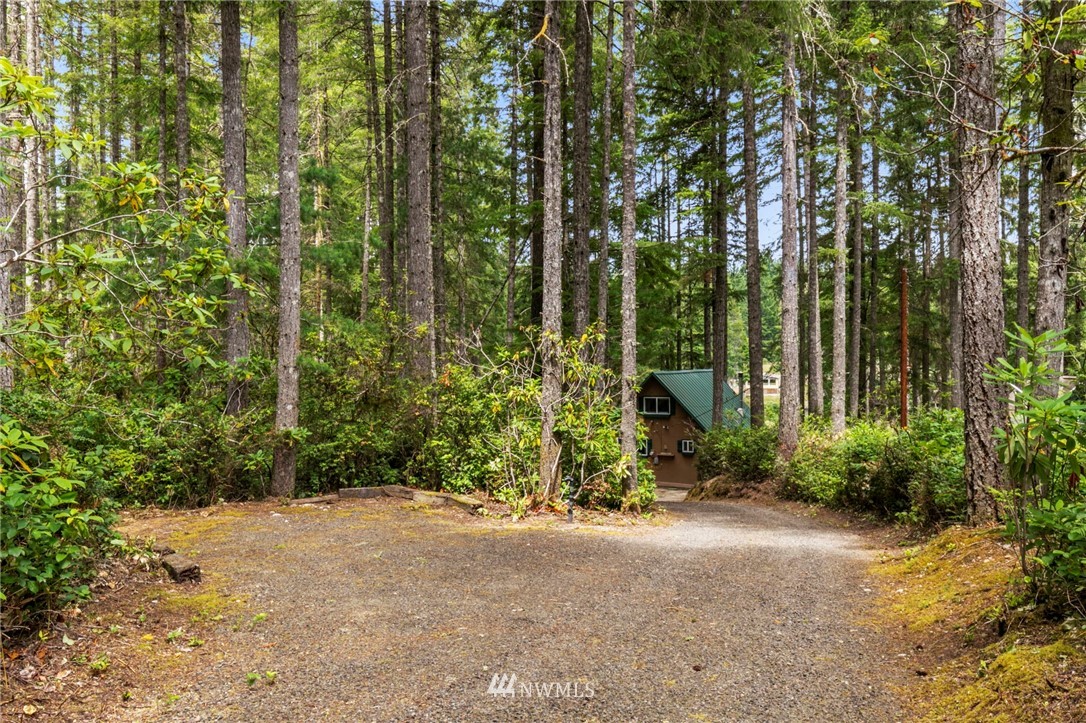 260 Northeast Raintree Lane Tahuya, WA 98588 - Photo 25 of 35 Gallery Image 25