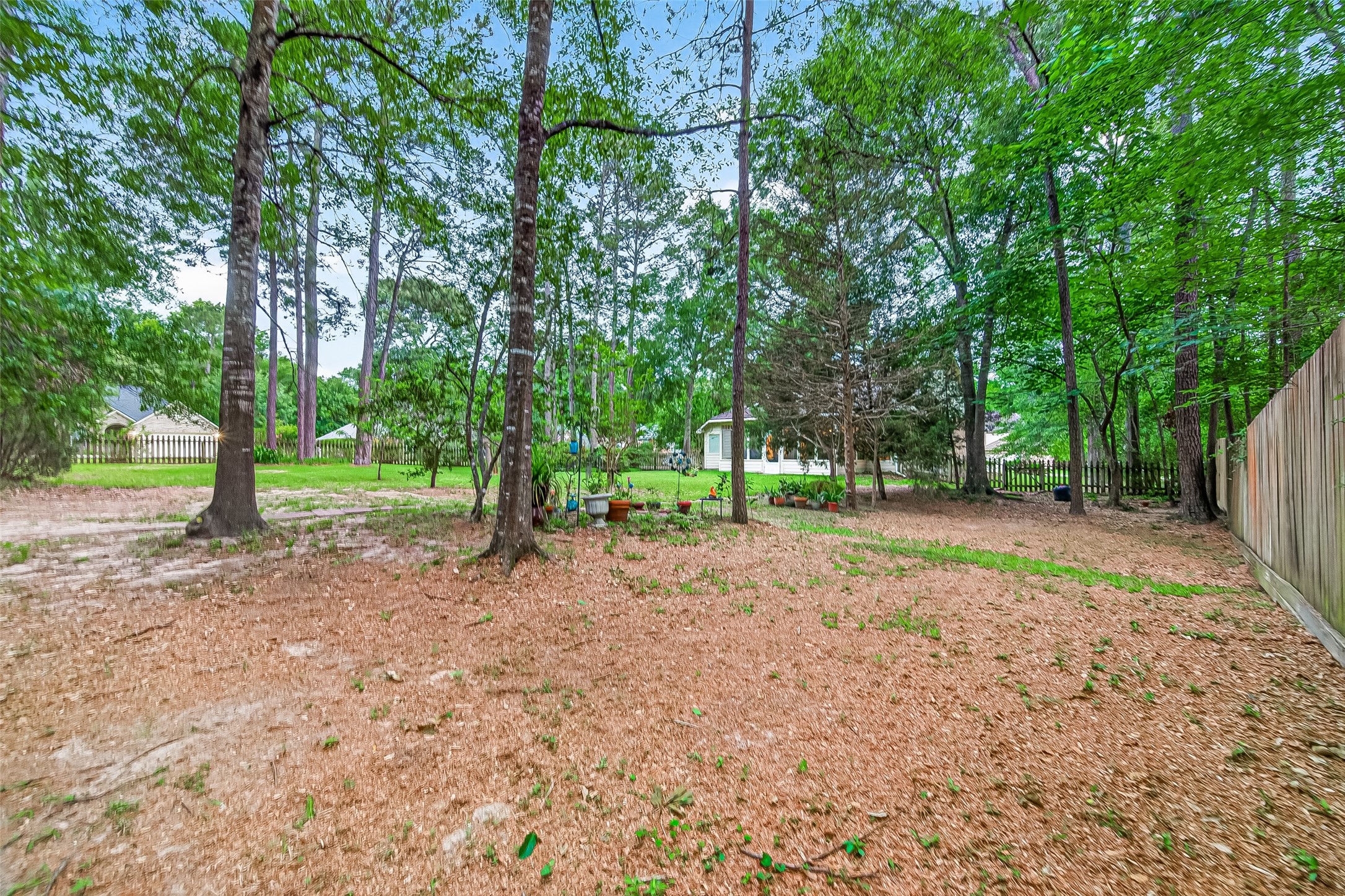12455 West Summerlin Conroe, TX 77302 - Photo 28 of 31 a view of a tree in the middle of a yard