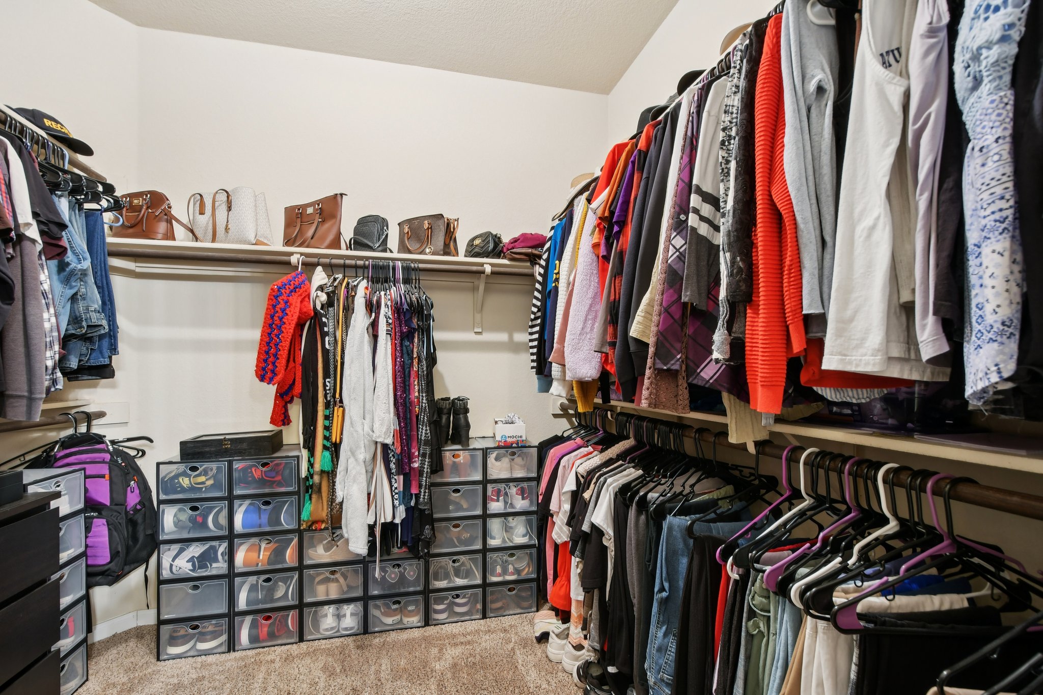 616 Lookout Tree Lane Round Rock, TX 78664 - Photo 14 of 39 Walk in closet with light carpet