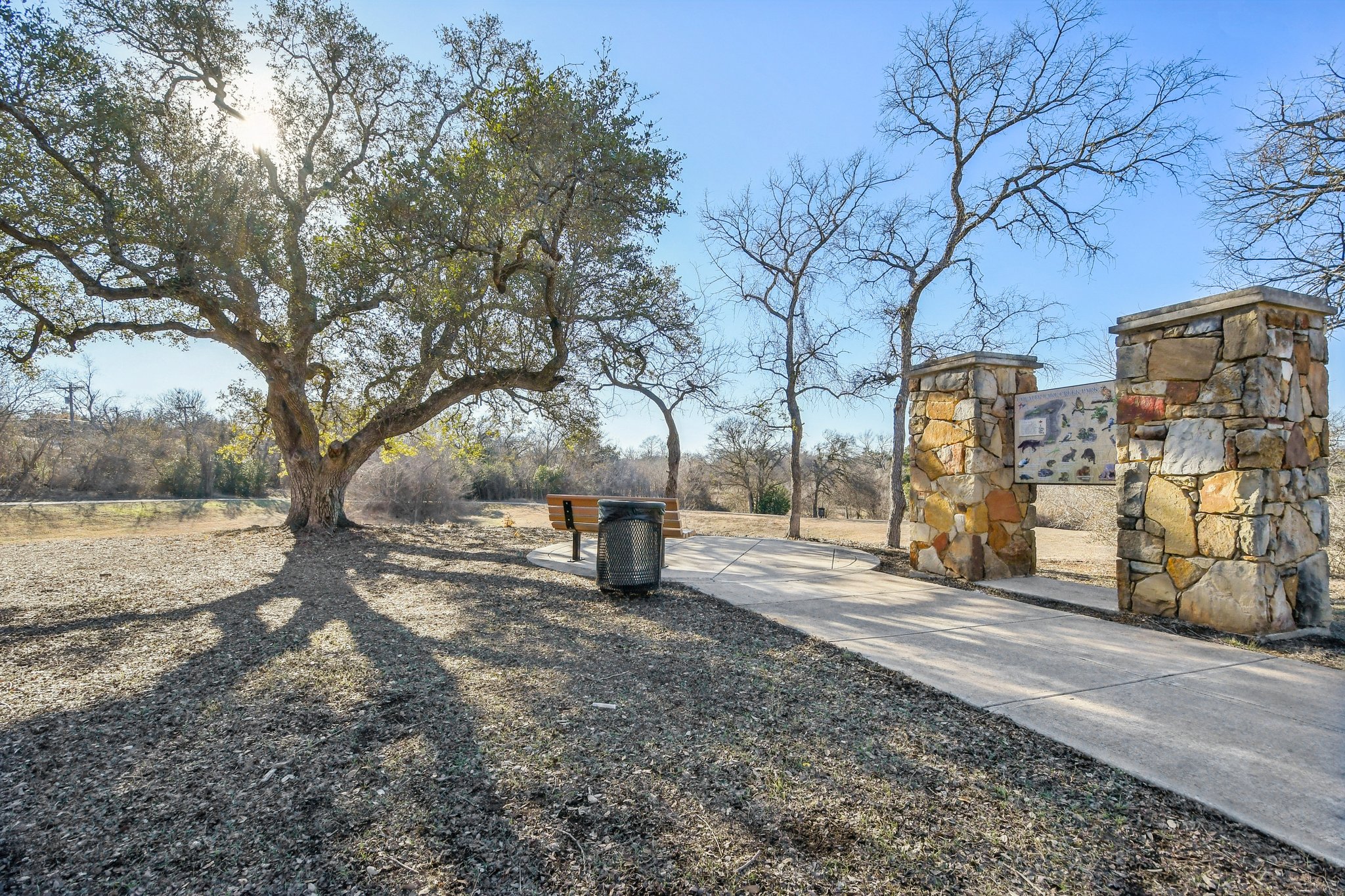 616 Lookout Tree Lane Round Rock, TX 78664 - Photo 32 of 39 View of street