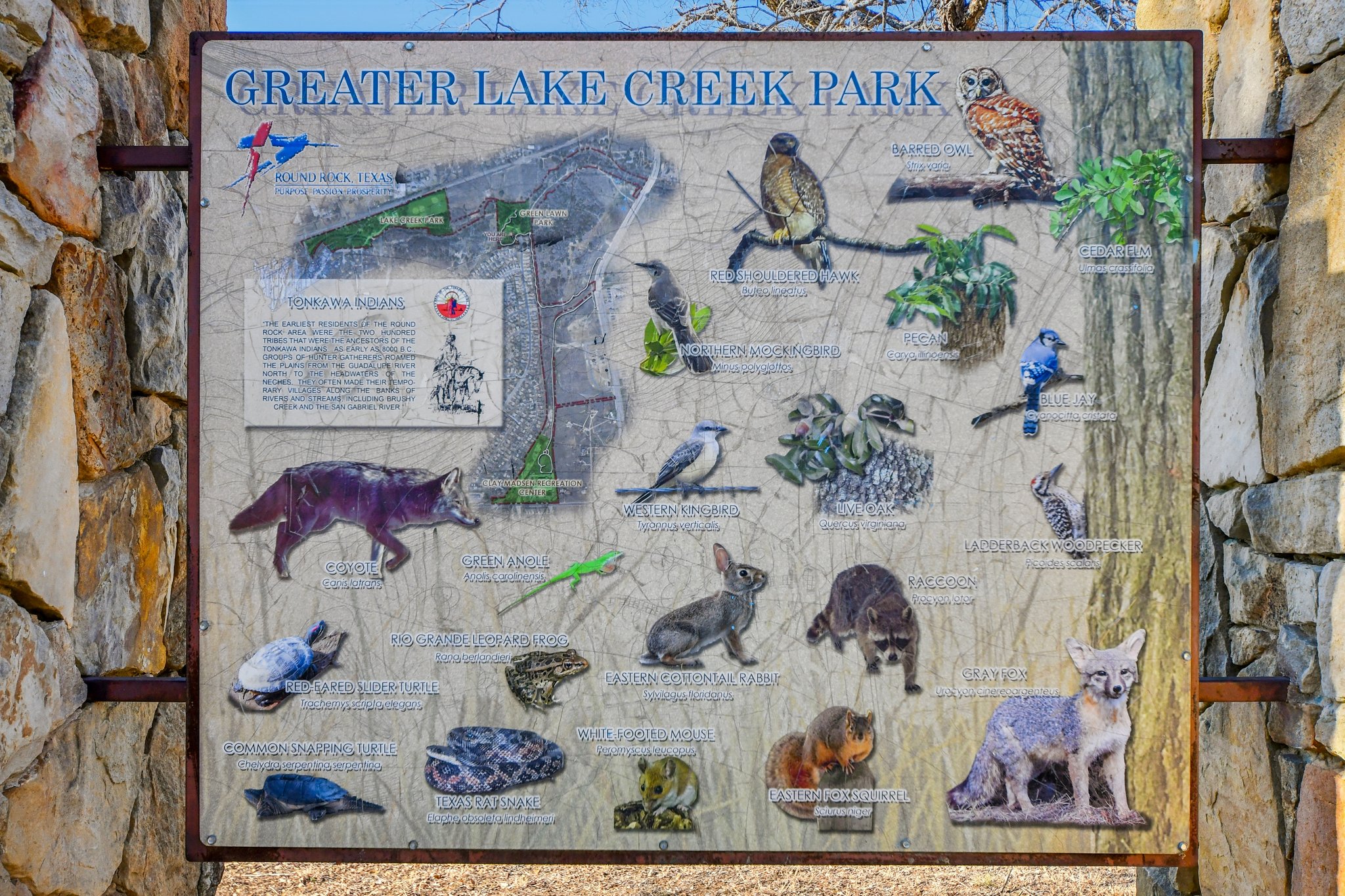 616 Lookout Tree Lane Round Rock, TX 78664 - Photo 33 of 39 Detailed view