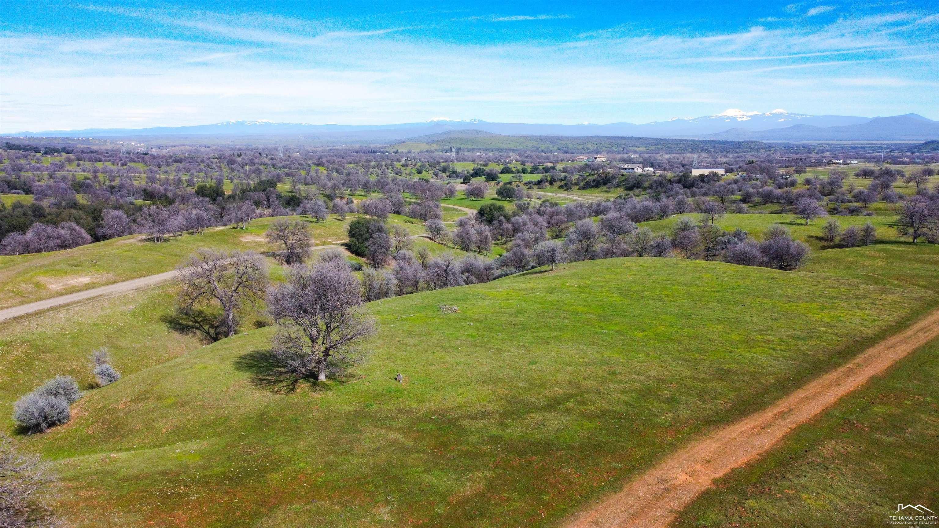 0 Jellys Ferry Road Red Bluff, CA 96080 - Photo 4 of 24 Gallery Image 4