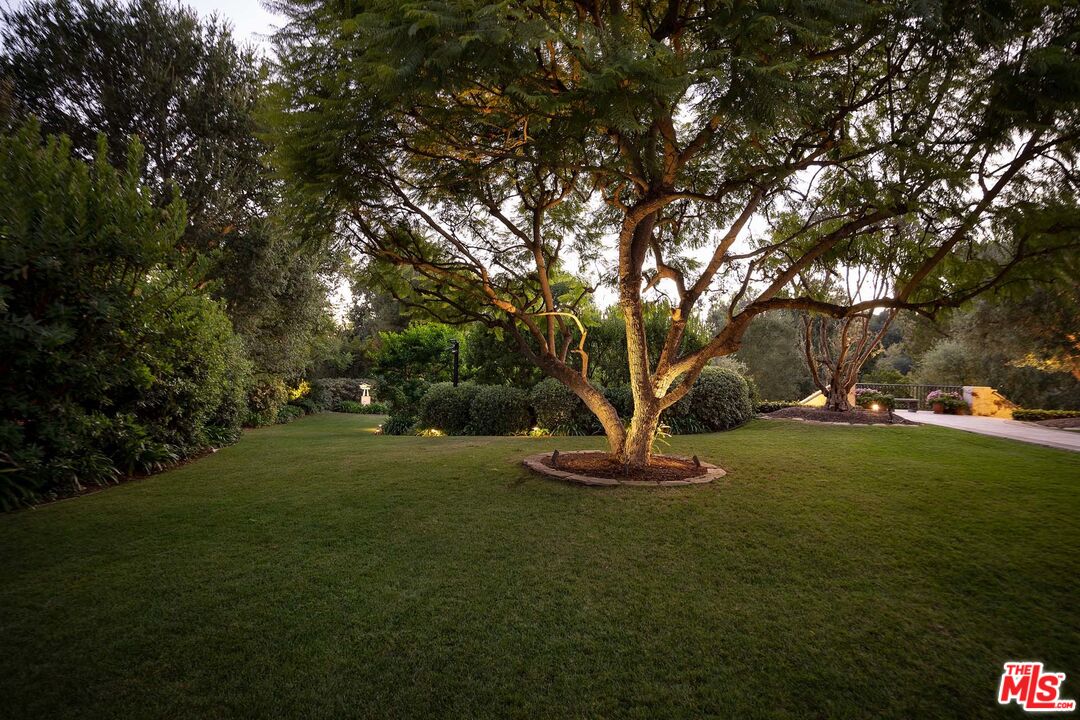 531 Barnaby Road Los Angeles, CA 90077 - Photo 6 of 28 a view of a garden with trees