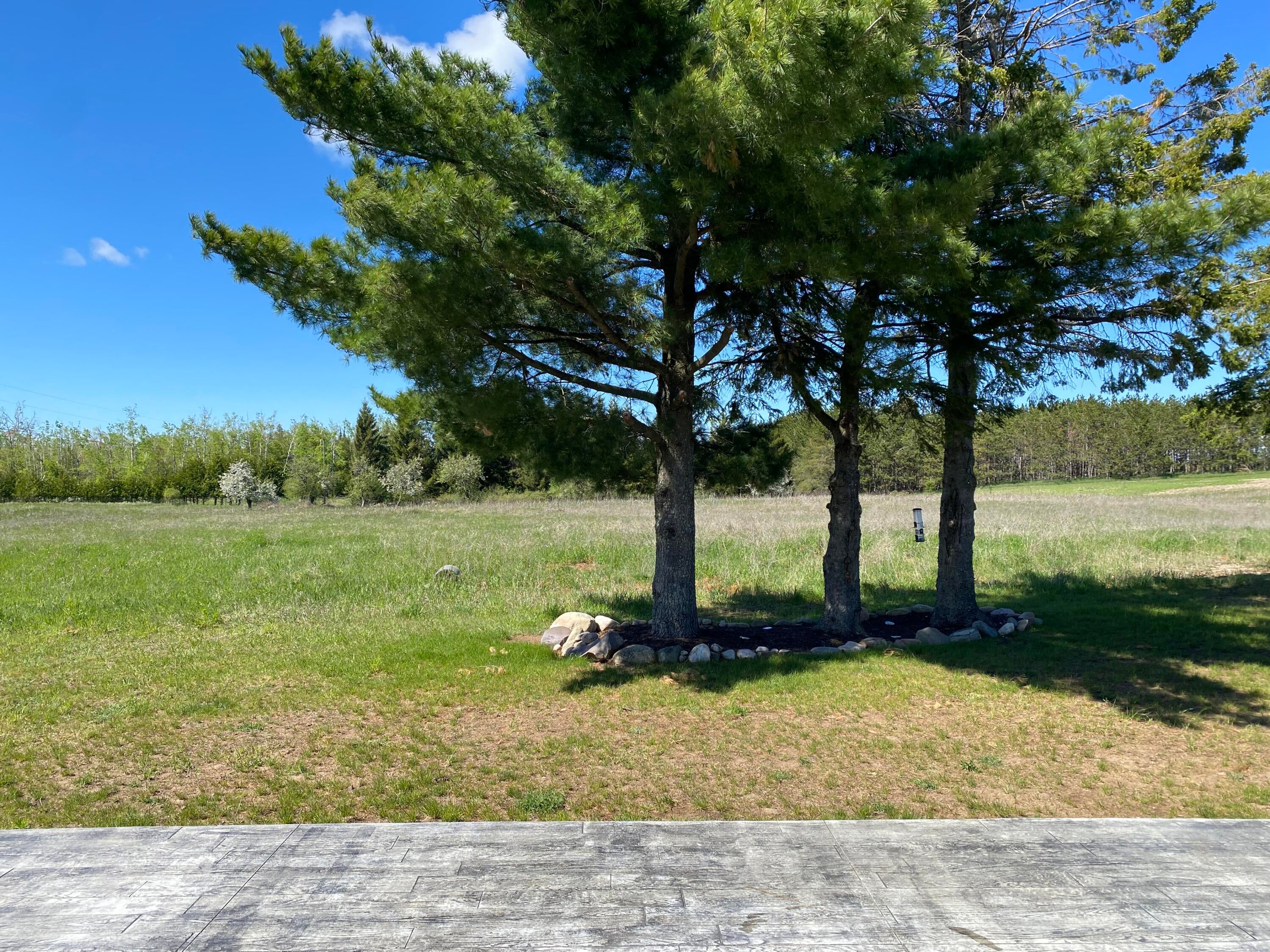 7557 Loop Road Posen, MI 49776 - Photo 64 of 74 Gallery Image 64