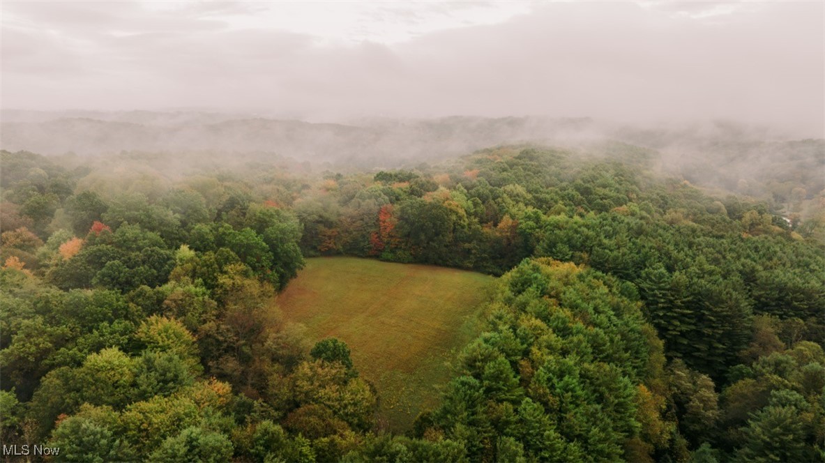 2354 Ivory Road Northwest Dellroy, OH 44620 - Photo 33 of 41 Drone / aerial view