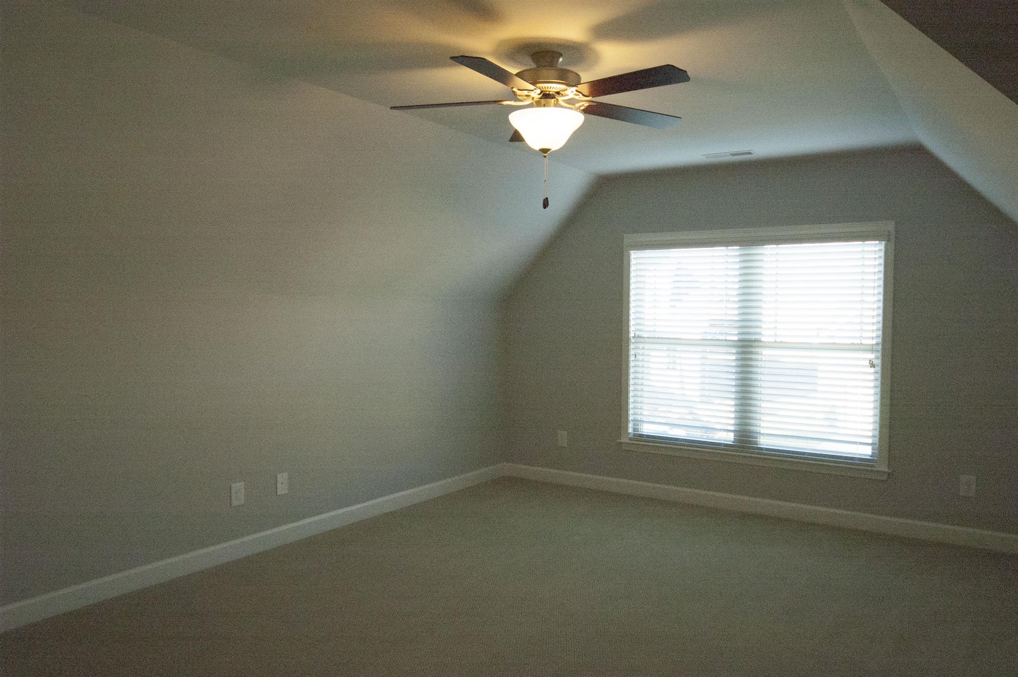 8026 Ragusa Circle Spring Hill, TN 37174 - Photo 17 of 23 Gallery Image 17