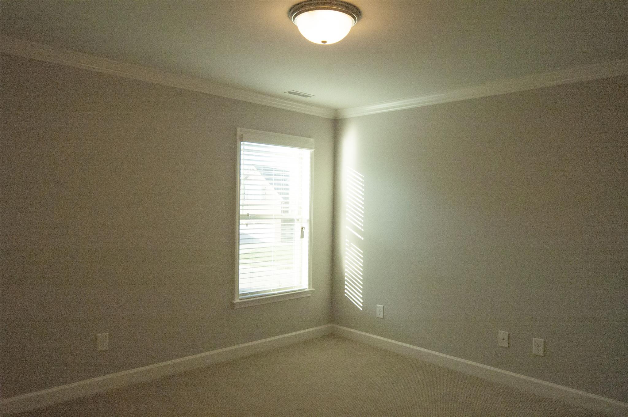 8026 Ragusa Circle Spring Hill, TN 37174 - Photo 18 of 23 Gallery Image 18