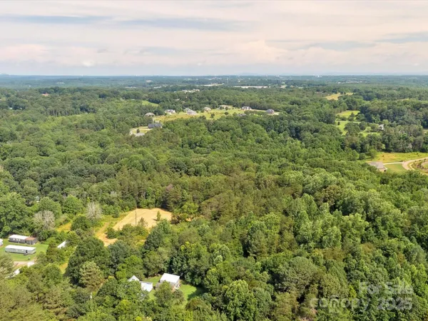 a view of a city with lush green forest
