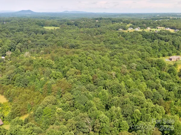 a view of a lush green forest with lush green forest
