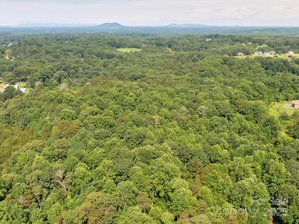 a view of a lush green forest with trees and some houses