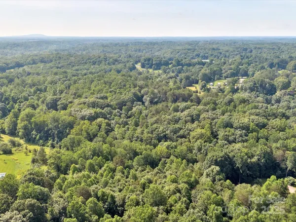 an aerial view of houses covered in trees