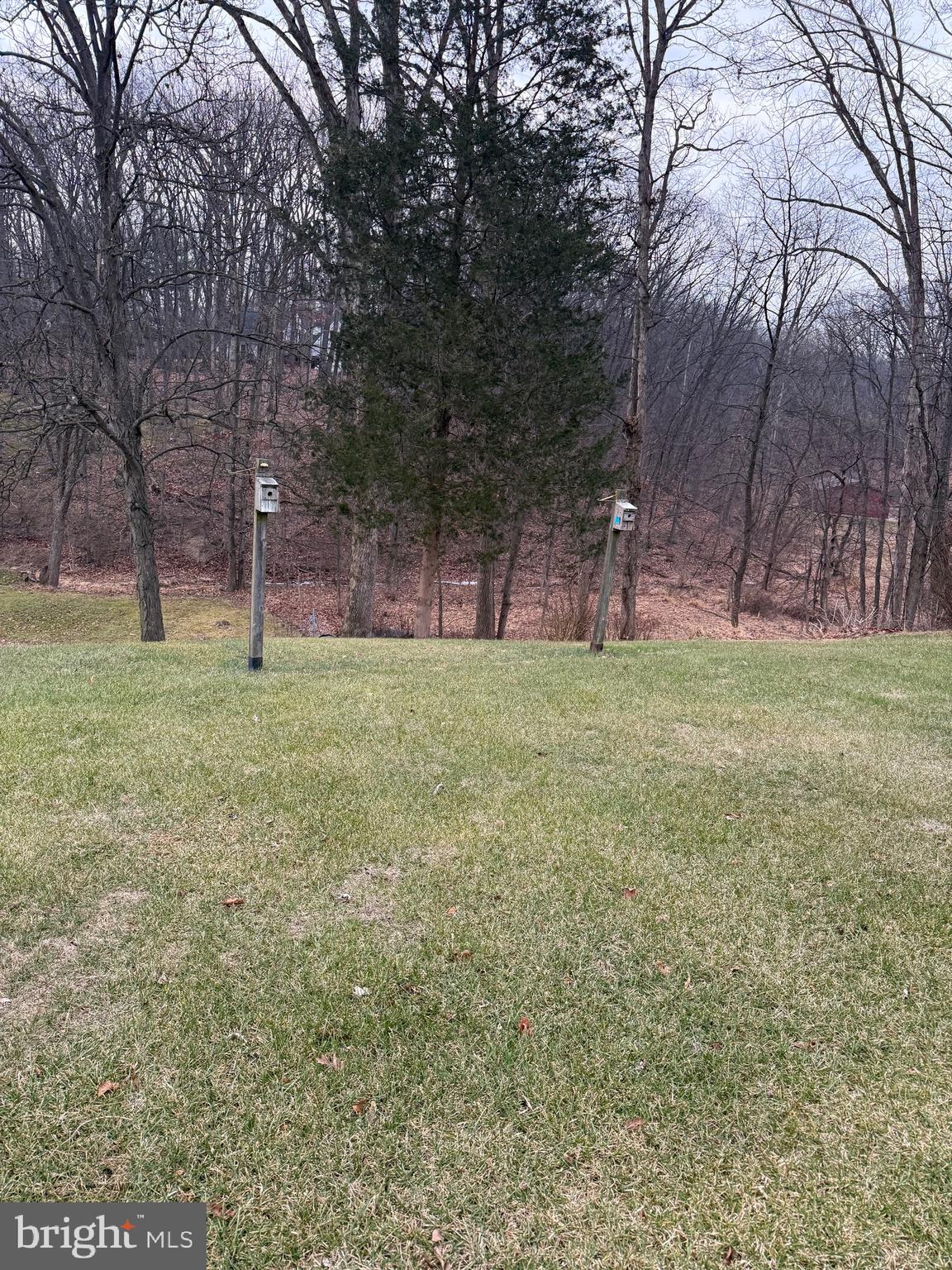 770 Forest Road Chambersburg, PA 17202 - Photo 21 of 27 a view of a backyard with large trees