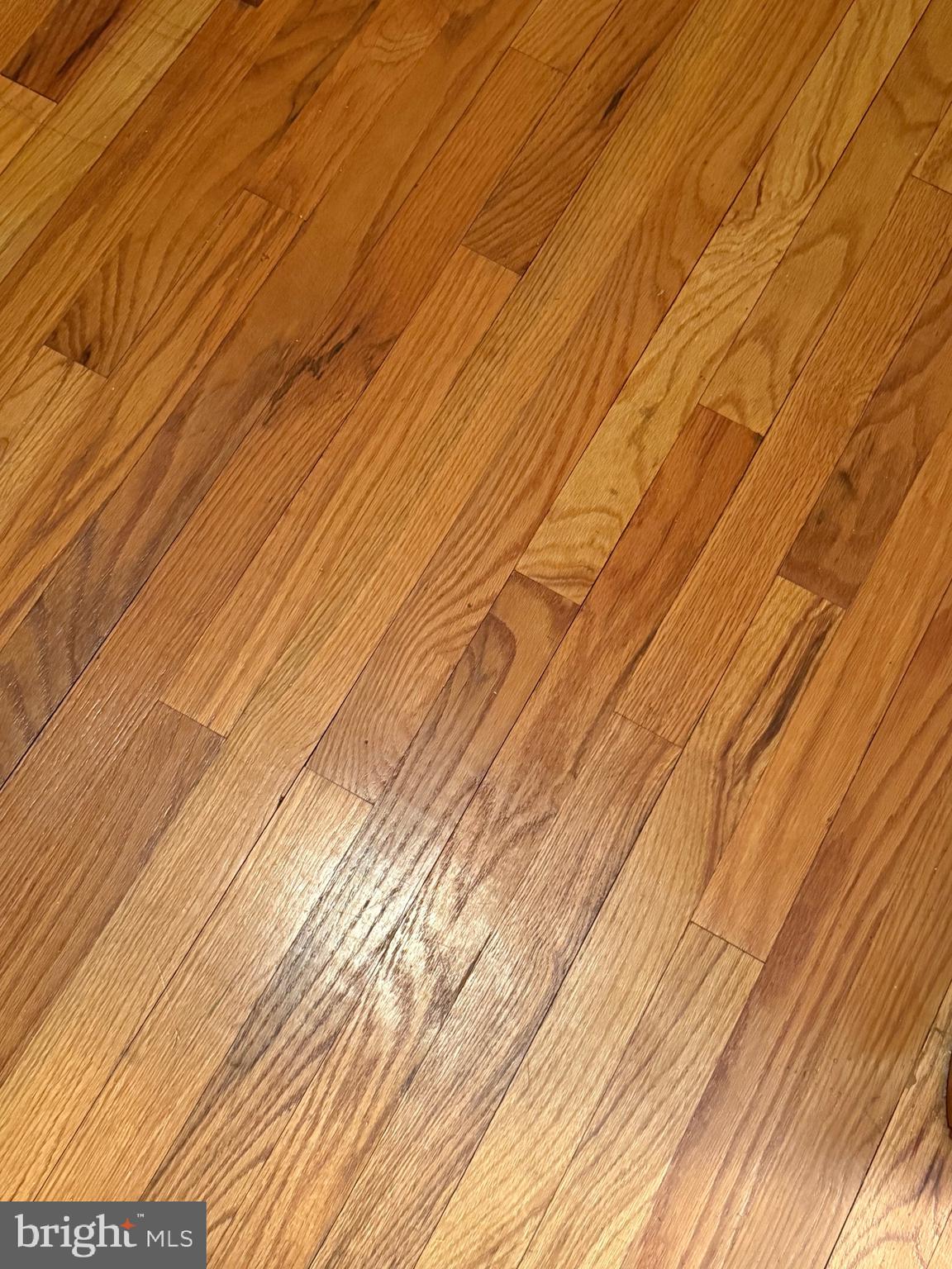 770 Forest Road Chambersburg, PA 17202 - Photo 8 of 27 a view of empty room with wooden floor