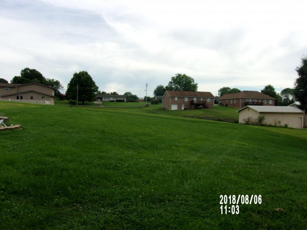 852 Gray Station Road Gray, TN 37615 - Photo 4 of 15 BACK YARD