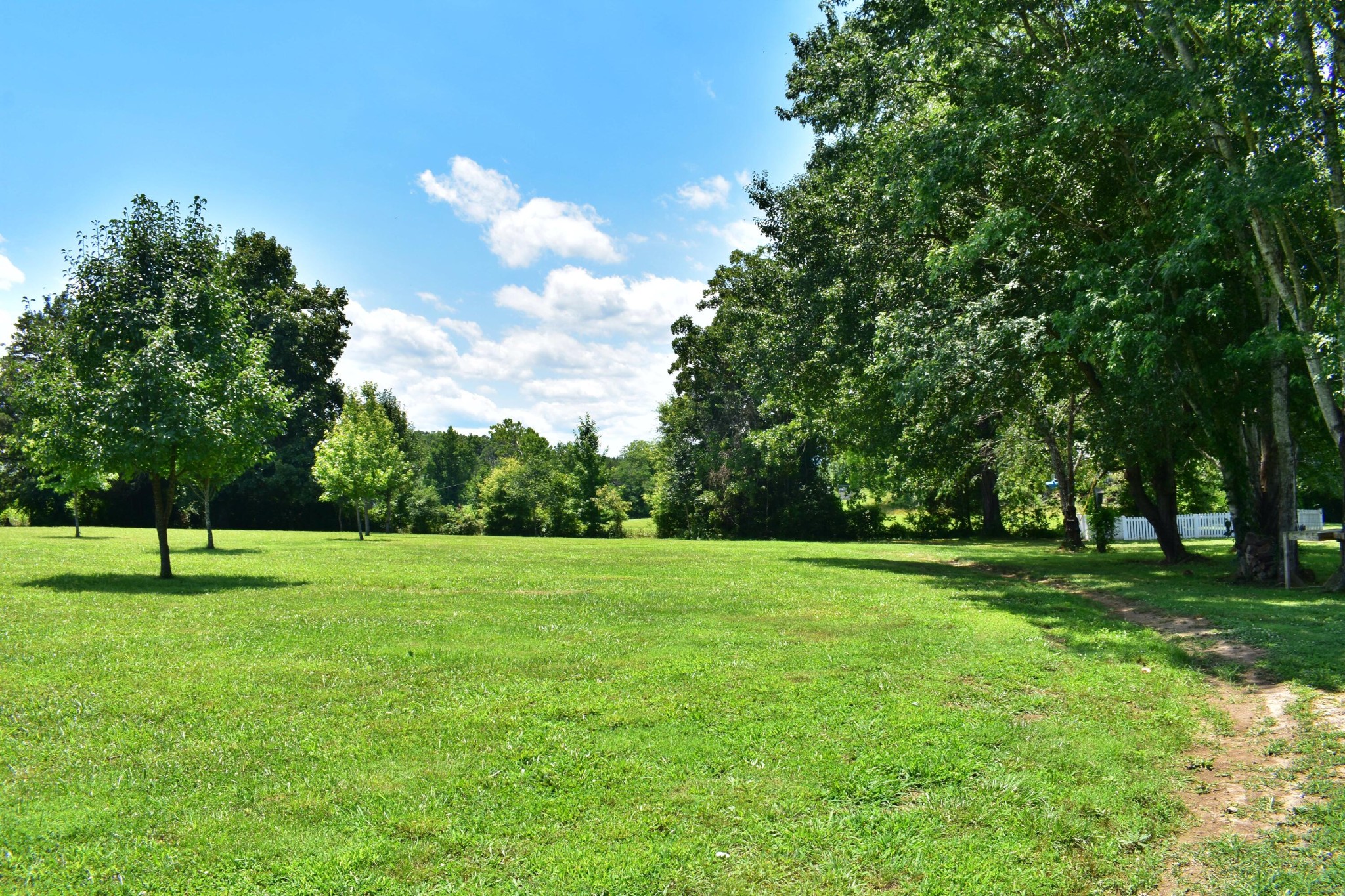 5858 Wolf Creek Road Spring City, TN 37381 - Photo 35 of 76