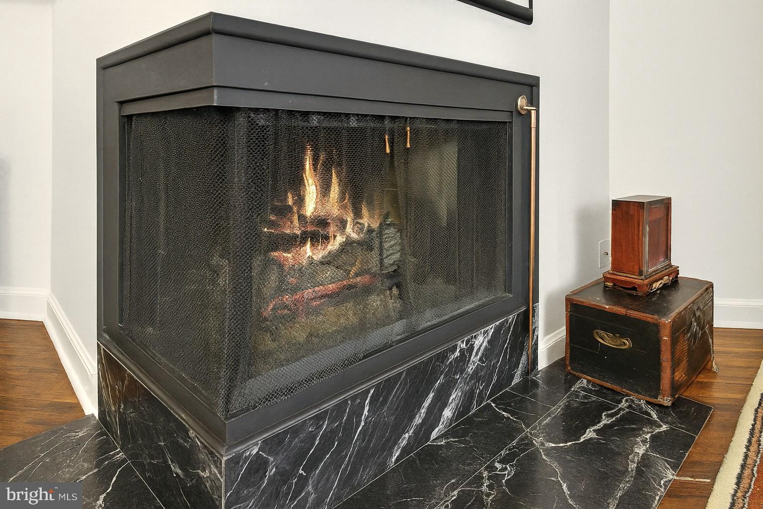 1829 16th Street Northwest, Unit 4 Washington, DC 20009 - Photo 10 of 20 Gas fireplace with reimagined heartrh