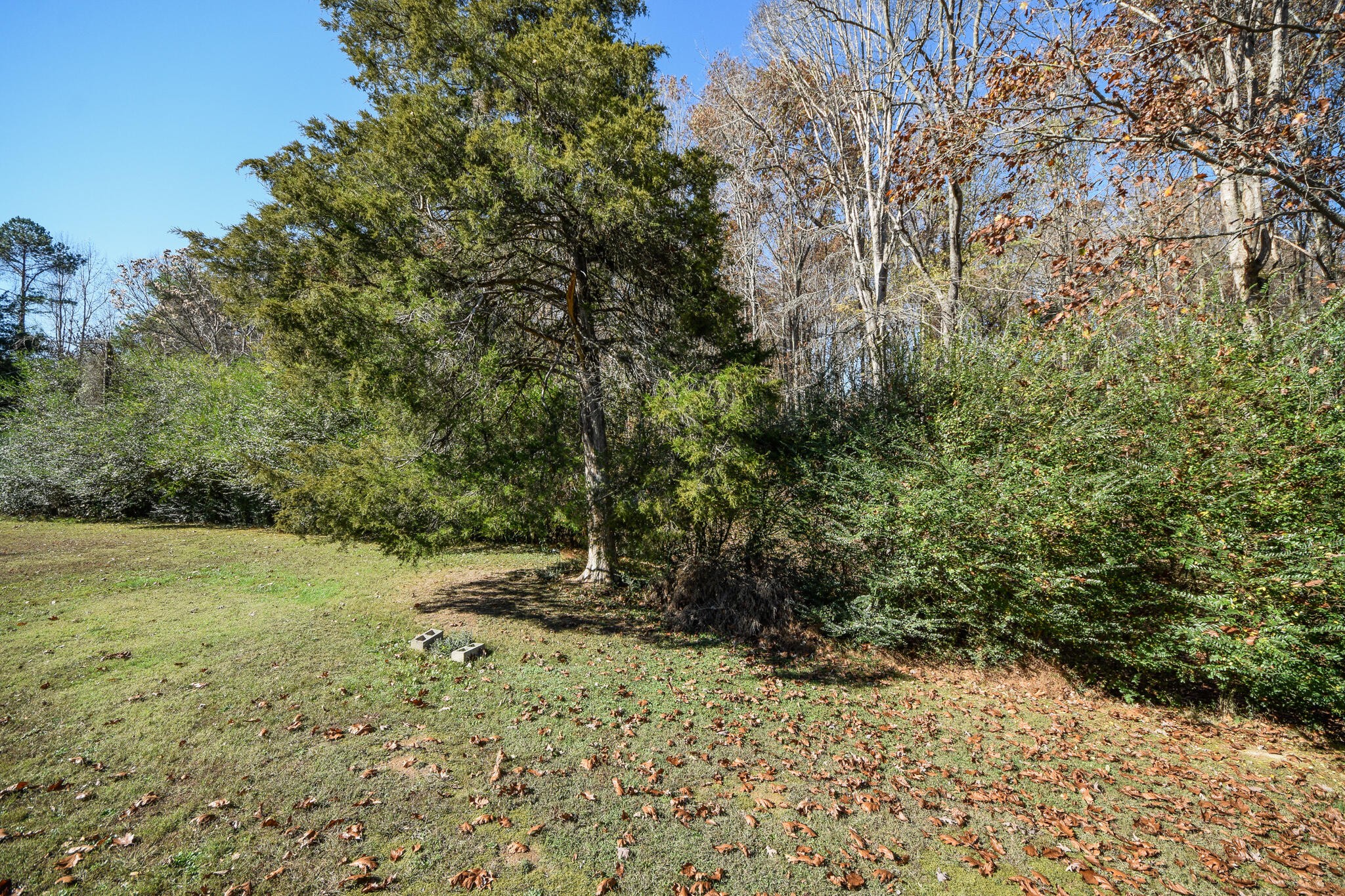 1979 Big Sandy Road Philadelphia, TN 37846 - Photo 27 of 30 Gallery Image 27