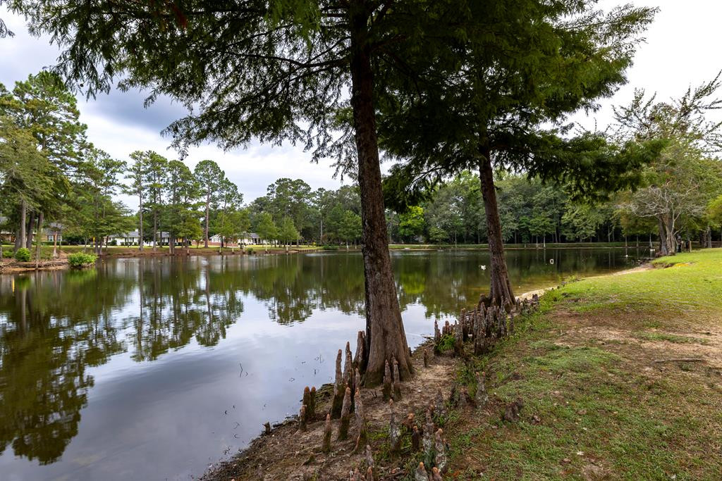 589 Covington Street Sumter, SC 29150 - Photo 46 of 69 Gallery Image 46