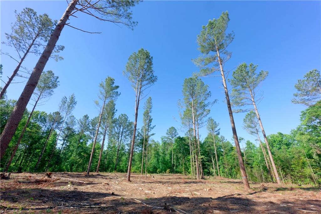 0 Carson Road Cleveland, NC 27013 - Photo 3 of 17