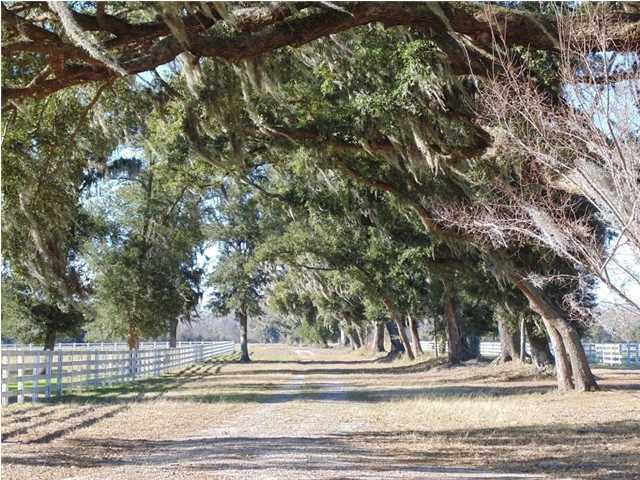 5810 Church Flats Road Meggett, SC 29449 - Photo 1 of 1 Church Flats Road