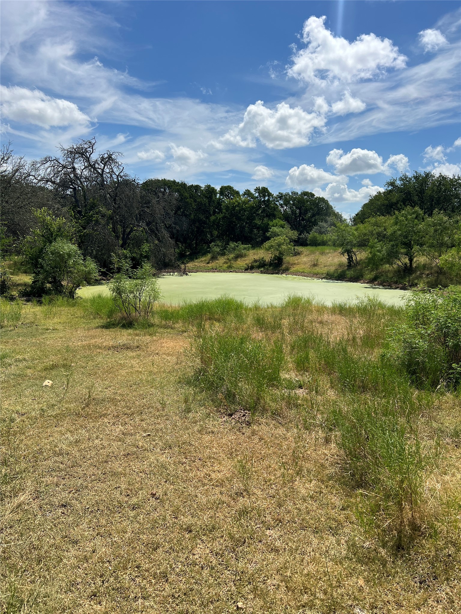 200/ Shady Grove Road Bertram, TX 78605 - Photo 8 of 17 A tranquil pond awaits, surrounded by lush trees under a vast, open sky.