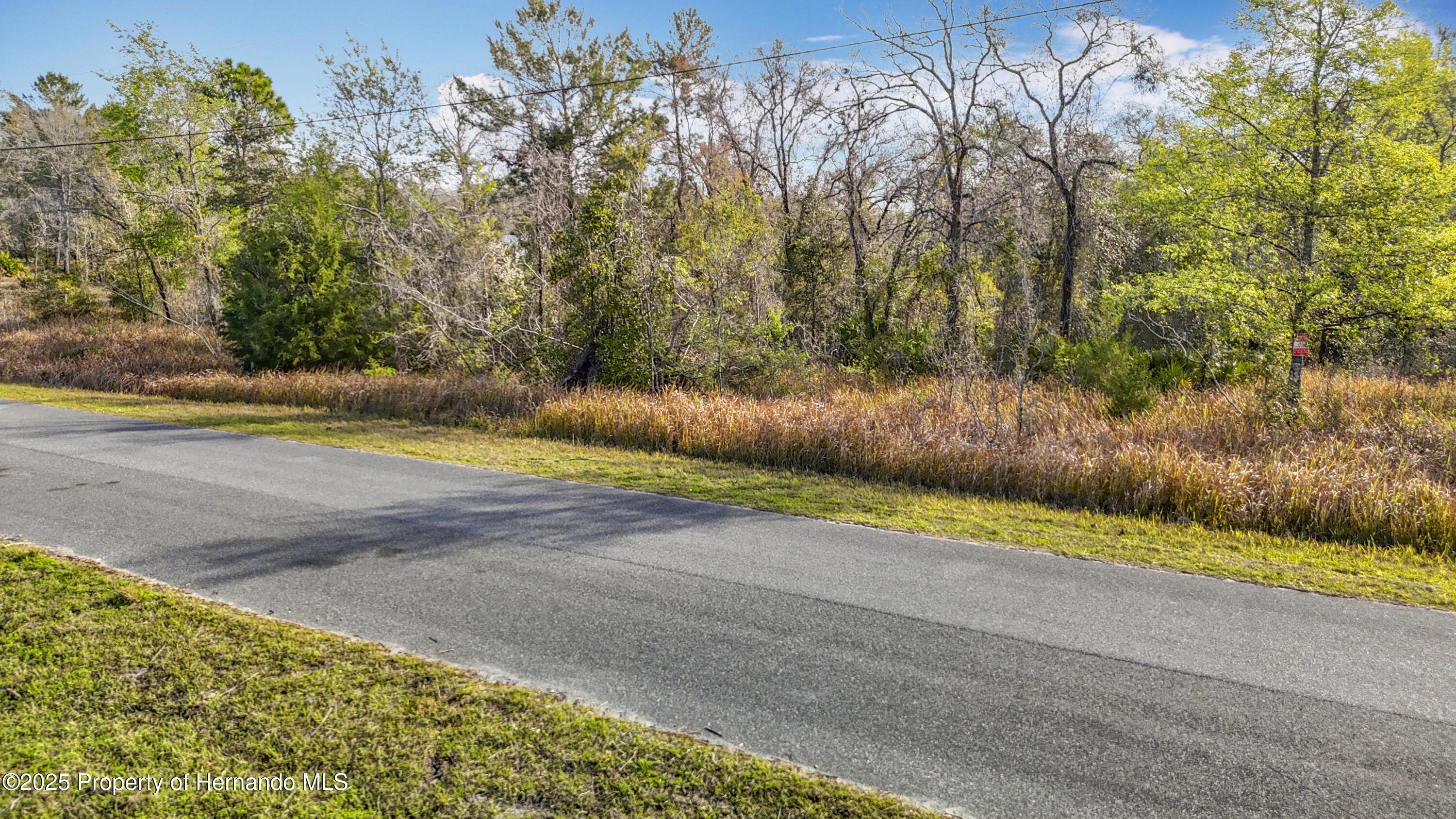 0 Maripoe Road Weeki Wachee, FL 34614 - Photo 19 of 39