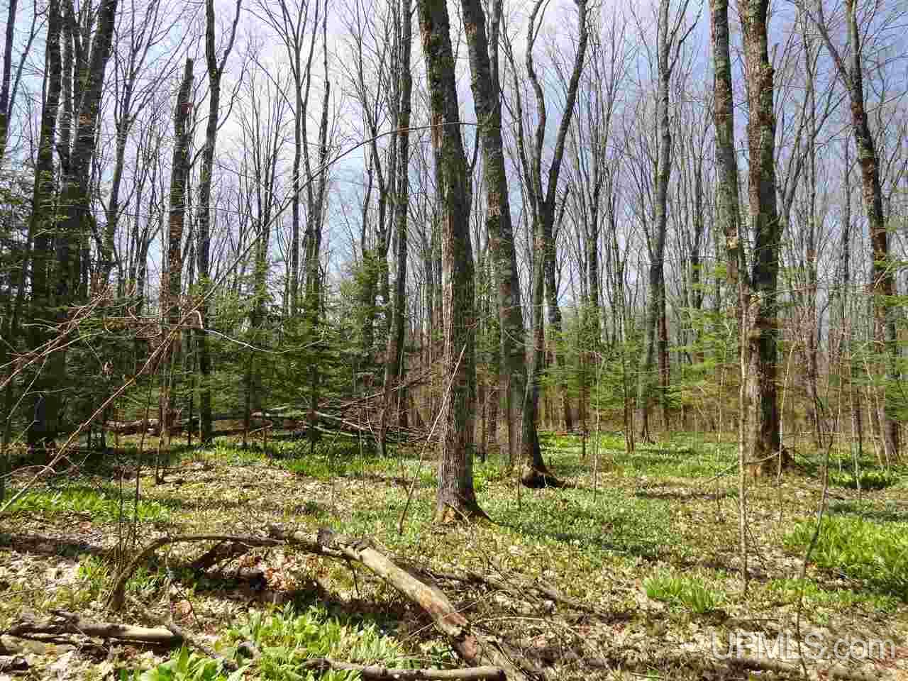 Johnson Road Skandia, MI 49885 - Photo 26 of 29