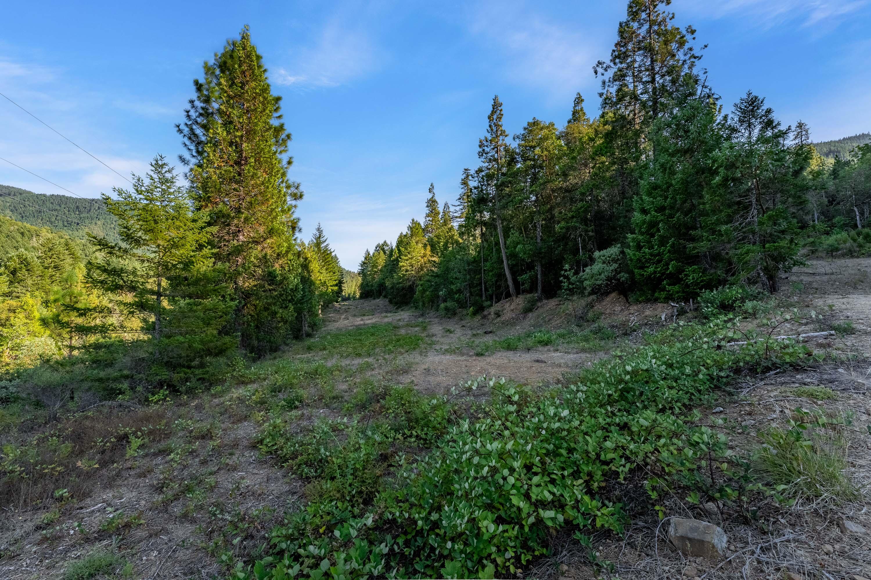3140 Winona Road Grants Pass, OR 97526 - Photo 5 of 34 EXT (12 of 12)