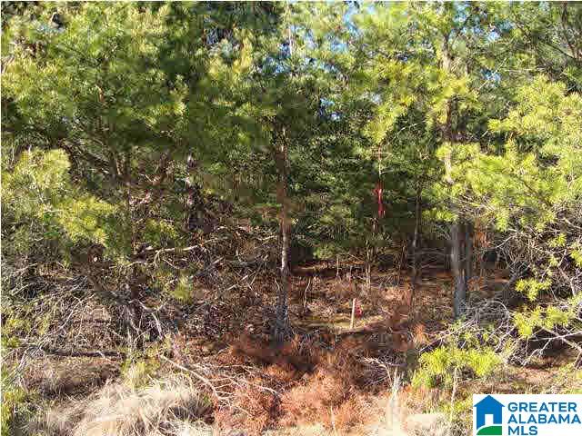 29 Highway Ac Al, Unit 33 Oneonta, AL 35121 - Photo 15 of 23