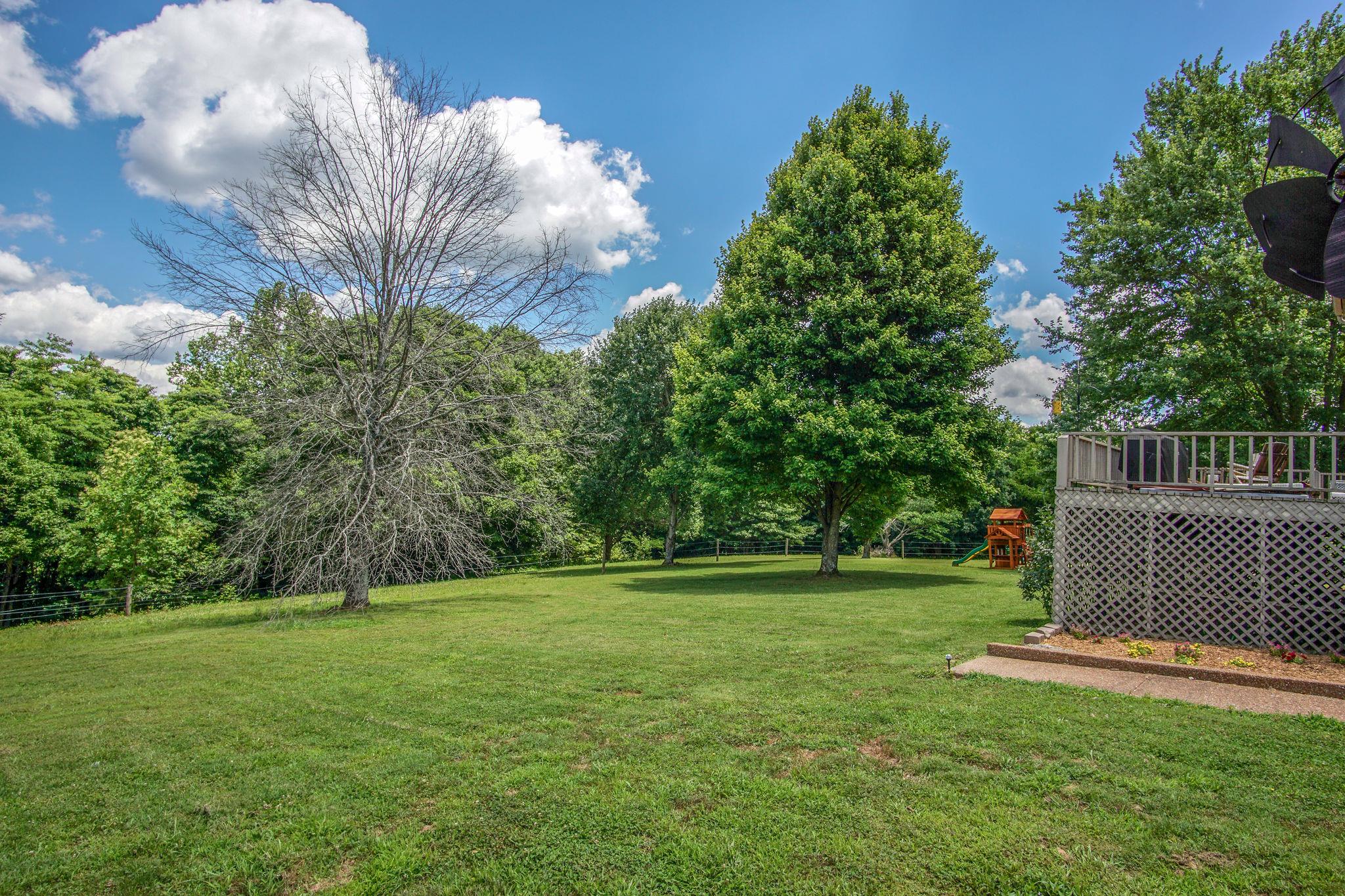 1035 Cheek Road Lewisburg, TN 37091 - Photo 7 of 30 Large yard.