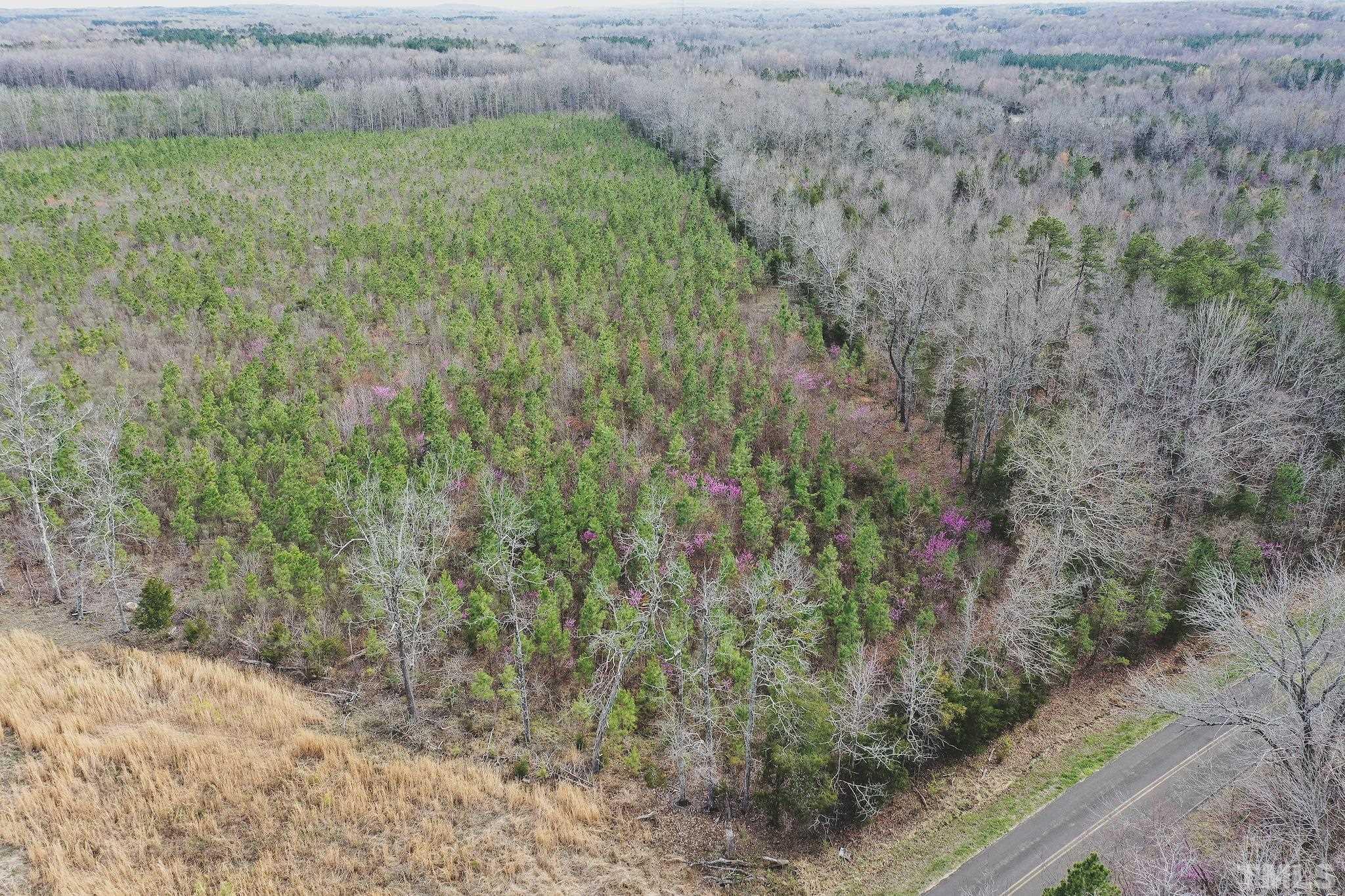 103-ac Pulliam-Tingen Mine Road Roxboro, NC 27574 - Photo 1 of 30 a view of a yard with a plant