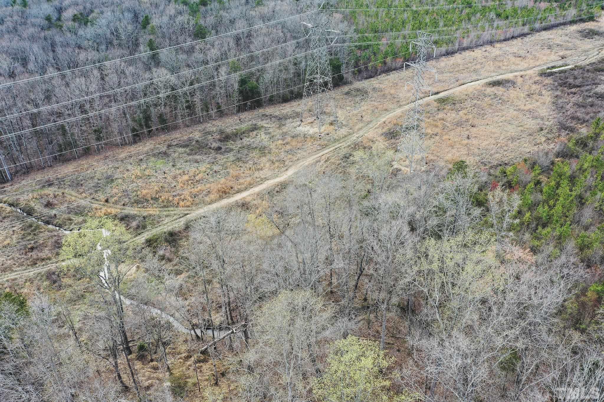 103-ac Pulliam-Tingen Mine Road Roxboro, NC 27574 - Photo 12 of 30 a view of a yard with a trees