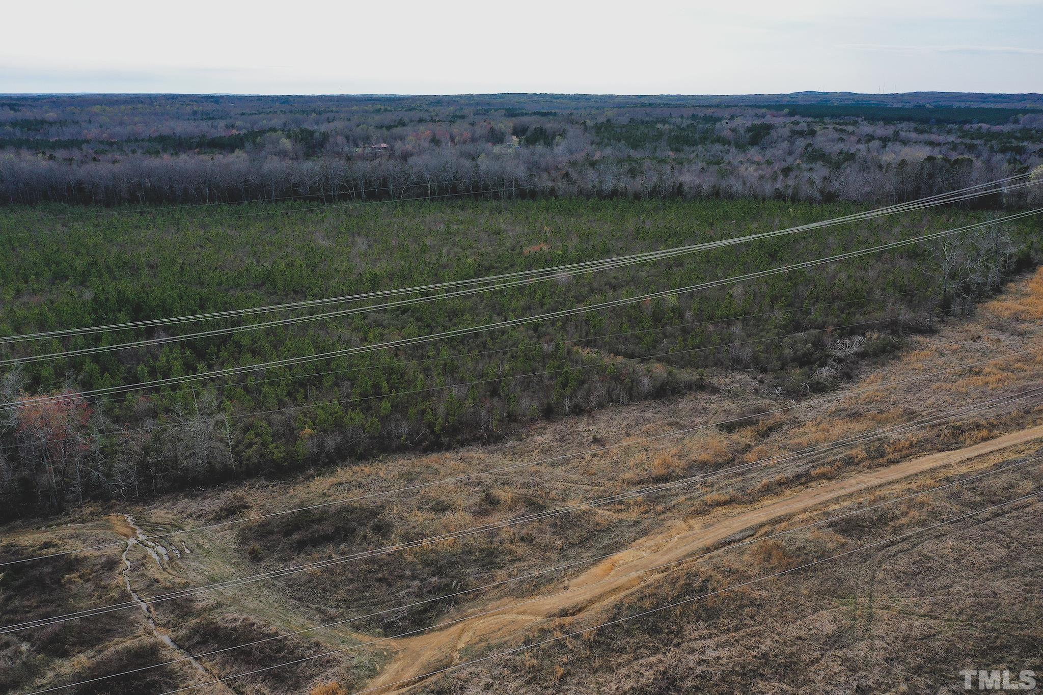 103-ac Pulliam-Tingen Mine Road Roxboro, NC 27574 - Photo 18 of 30 a view of a yard