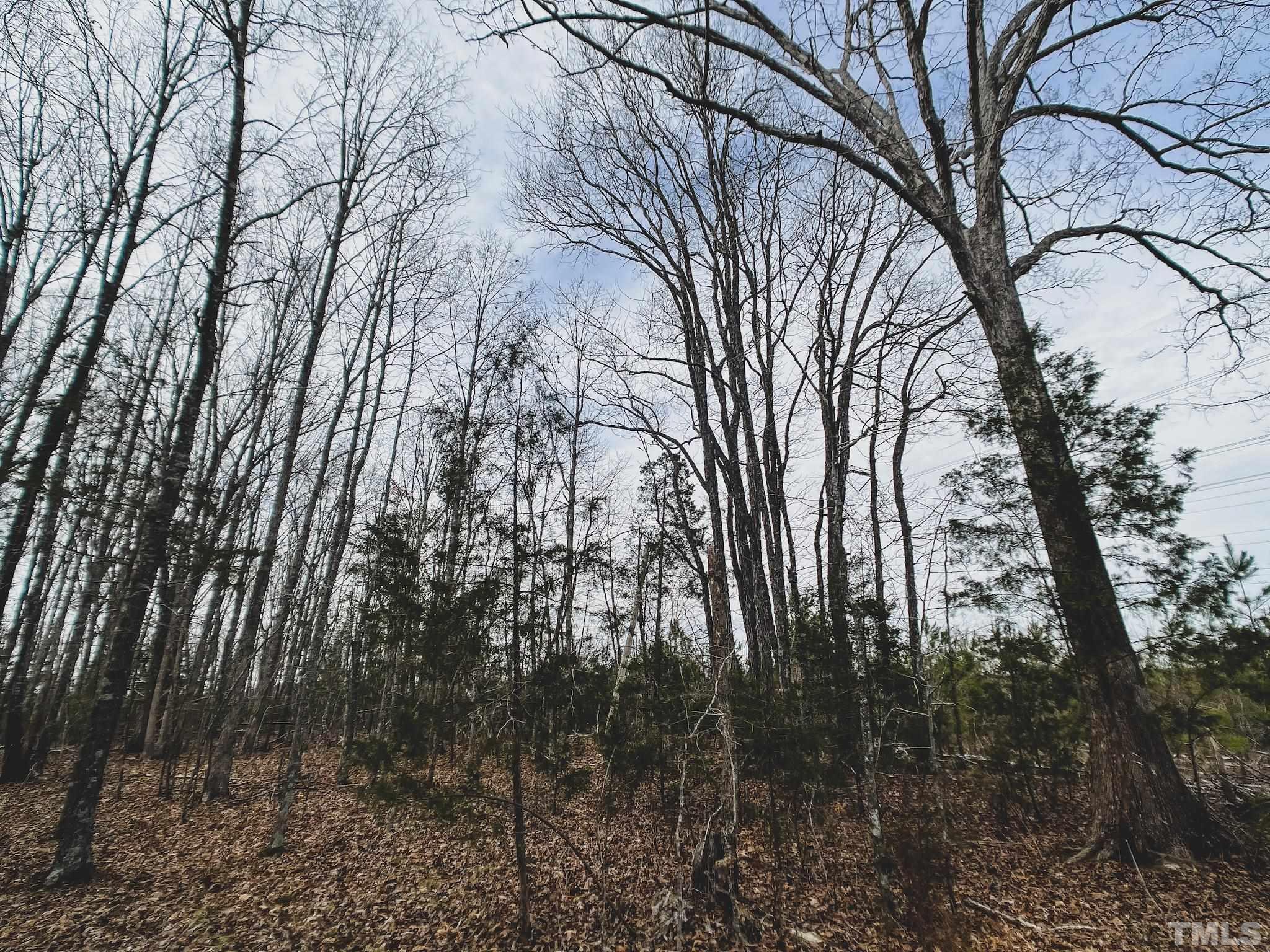 103-ac Pulliam-Tingen Mine Road Roxboro, NC 27574 - Photo 20 of 30 a view of a yard