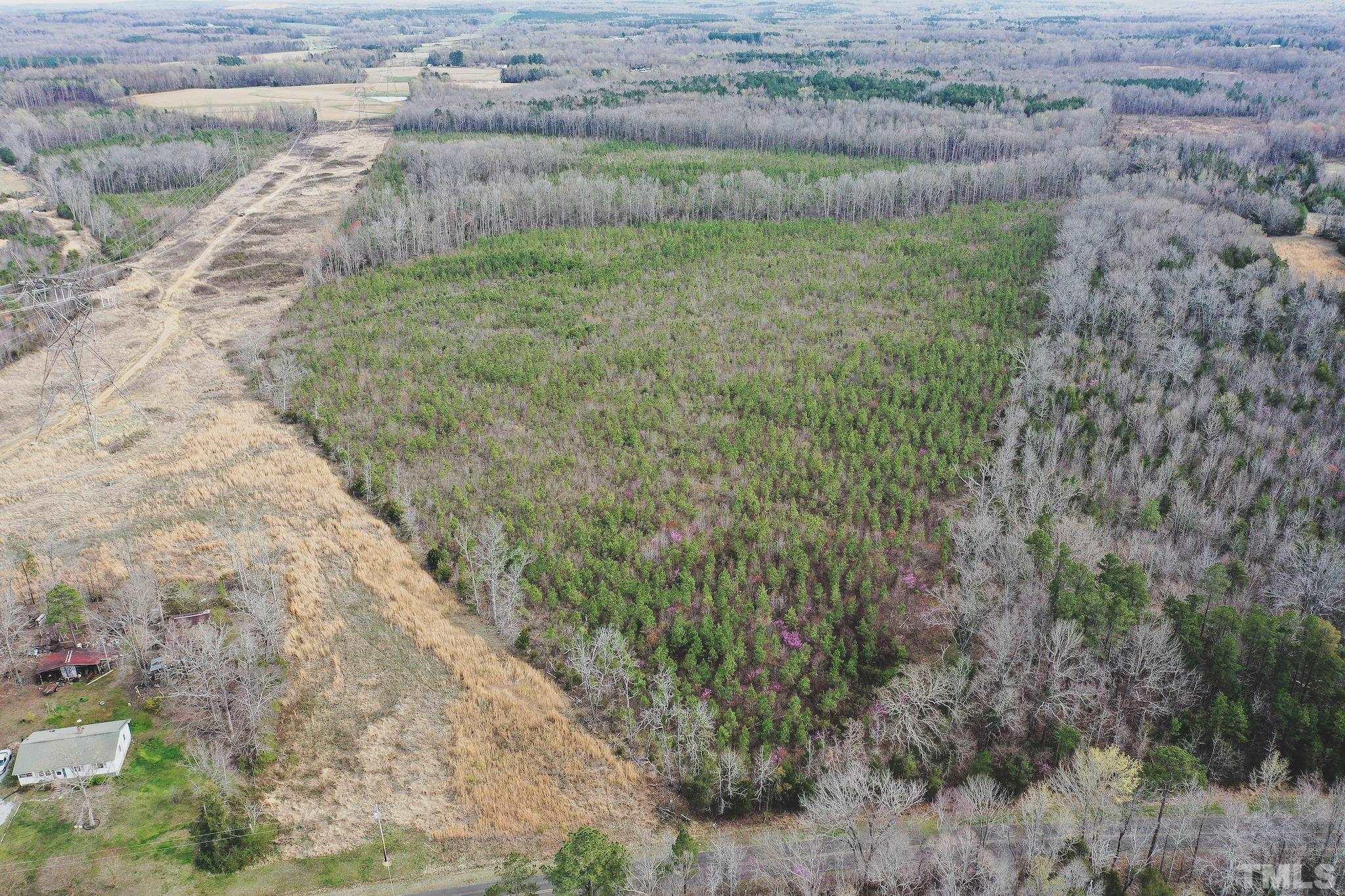 103-ac Pulliam-Tingen Mine Road Roxboro, NC 27574 - Photo 2 of 30 a view of a yard