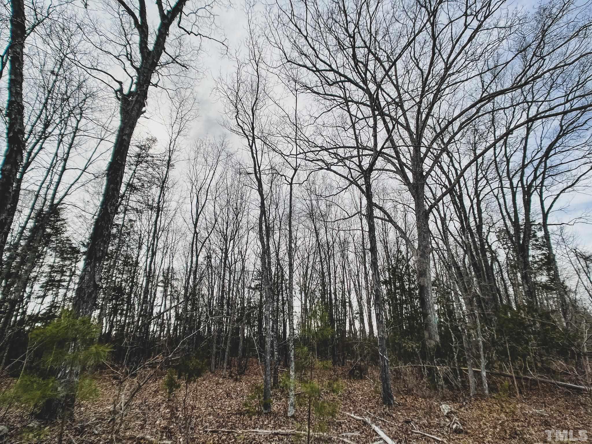 103-ac Pulliam-Tingen Mine Road Roxboro, NC 27574 - Photo 23 of 30 a backyard of a house with lots of green space